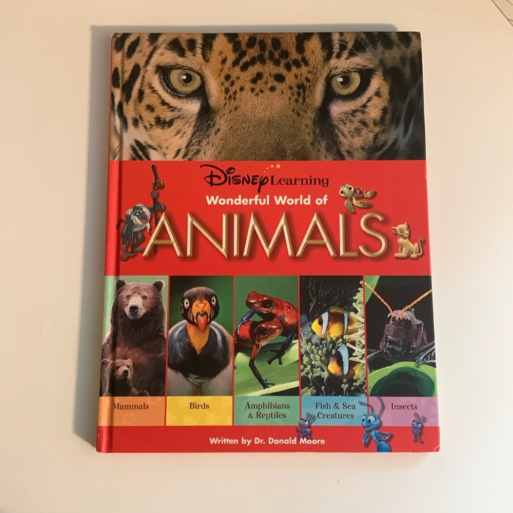 Disney Kids Book
